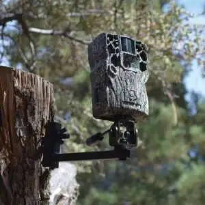 HME BTCH BETTR TRAIL CAM HOLDER