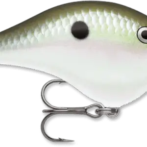 Dives-To 06 Green Gizzard Shad