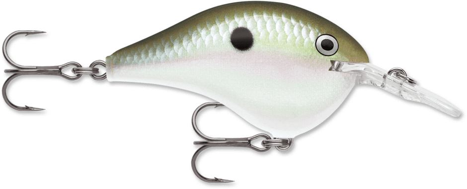 Dives-To 06 Green Gizzard Shad