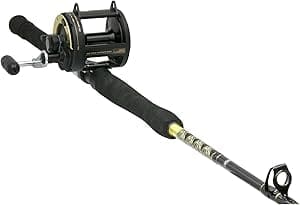 Shimano TLD20/SBWC66MH SE MKT