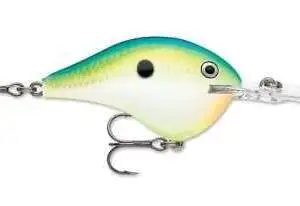 Dives-To 14 Citrus Shad